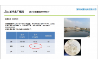 氨氮達標/提標生物去除技術介紹