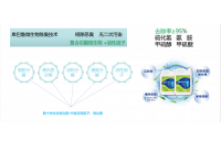 污水廠/垃圾場發(fā)臭怎么快速降解