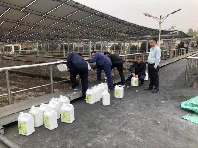 山東某生活污水處理案例冬季低溫氨氮降解案例